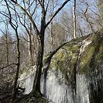 Апартаменты Saengerwiese *