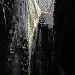 Апартаменты Saengerwiese *