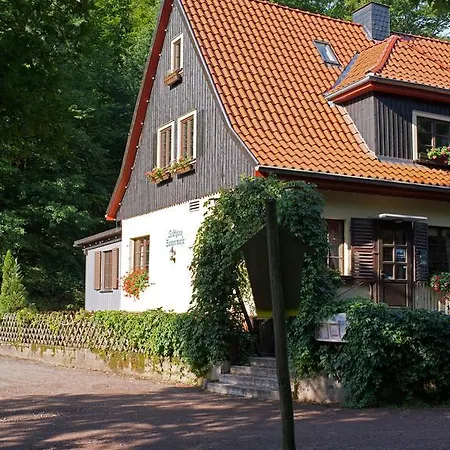 Apartment Saengerwiese *