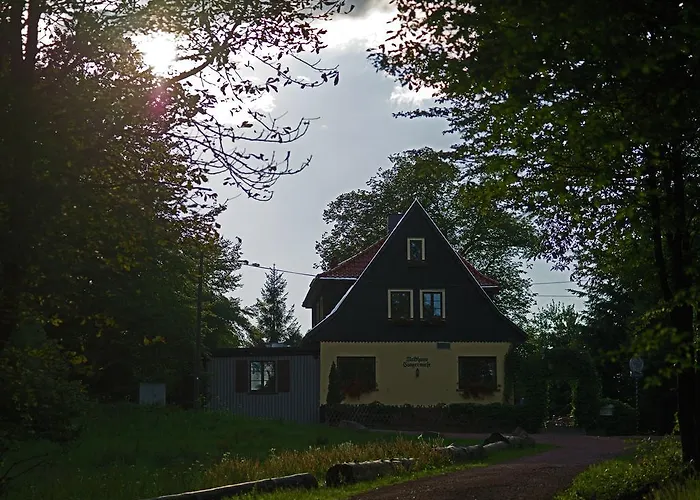 Saengerwiese * Eisenach