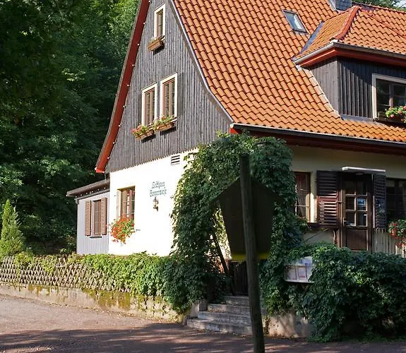 Daire Saengerwiese *