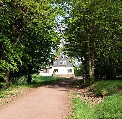 Saengerwiese Eisenach