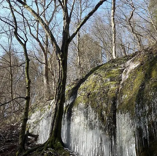 Daire Saengerwiese *