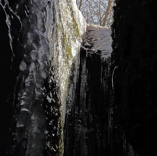 Daire Saengerwiese *